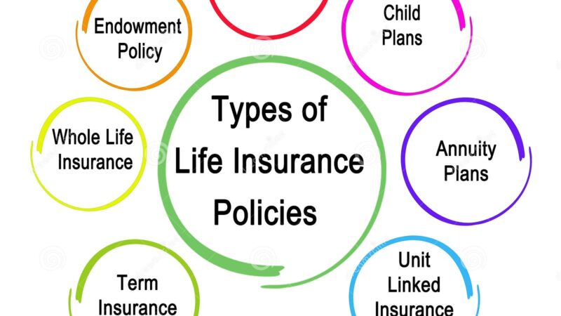 Coverages in a car insurance policy